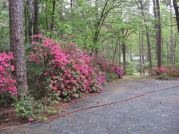 Main Entrance and Parking