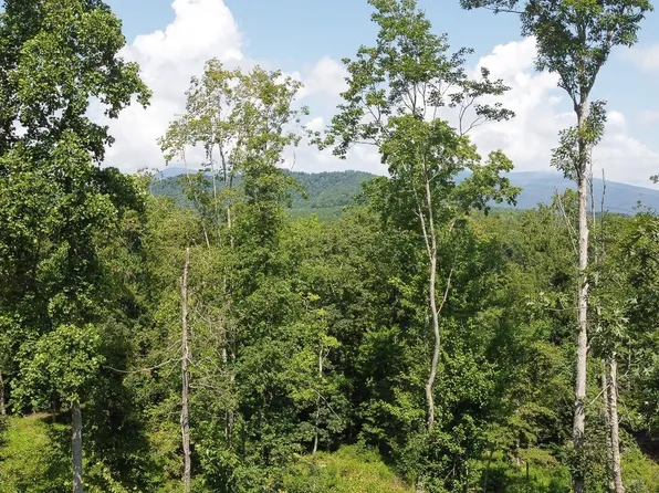 0 Adial Rd, Faber, VA 22938