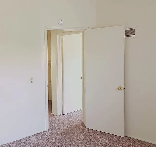 183 Stenner St — Photo 10