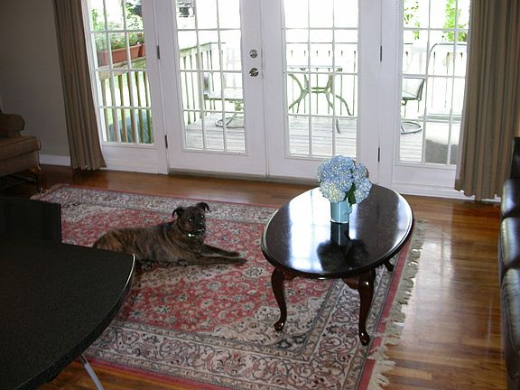 Beautifully refinished hardwoods