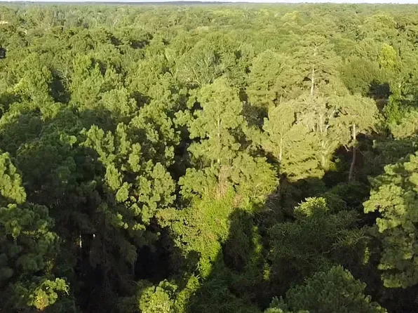 0 Id #101208, Hockley, TX 77447