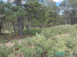 11 Trinidad Ave, Timberon, NM 88350