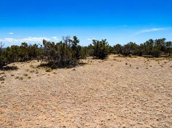 Red Sky Ranch Lot 77, Saint Johns, AZ 85936