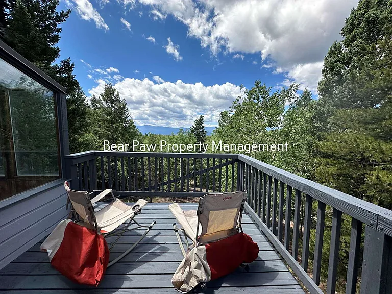11243 Conifer Mountain Rd — Photo 17
