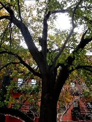 Rented by Prince Real Estate Associates LLC | media 23