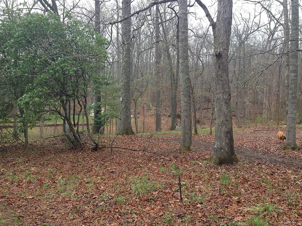Beautiful Hardwoods