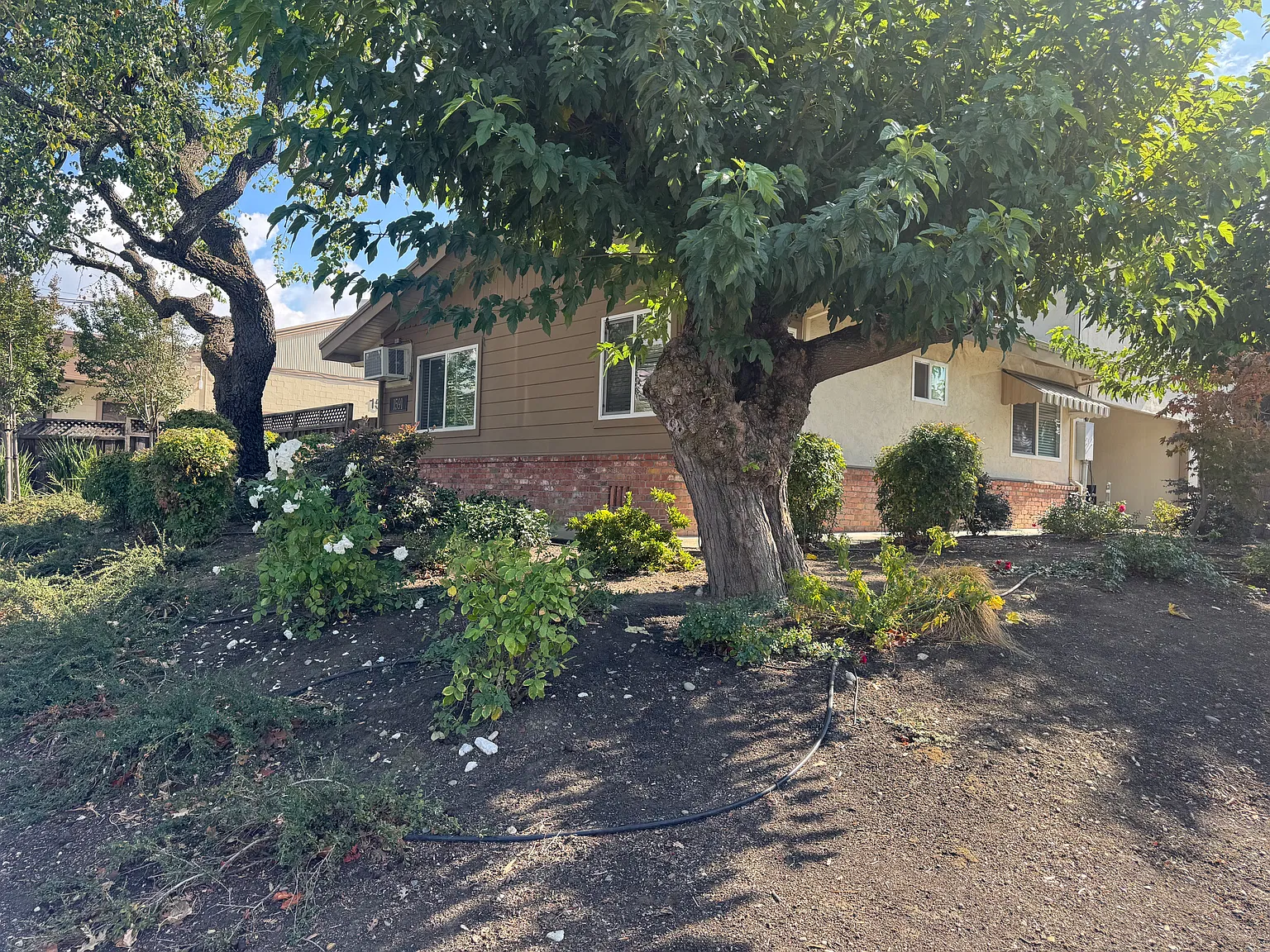 2 bed, 800 sqft, $2,400 — Photo 1