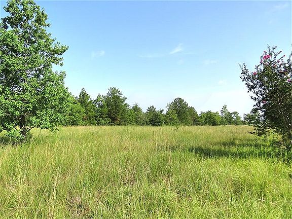 Another view of property showing trees and crepe myrtles.