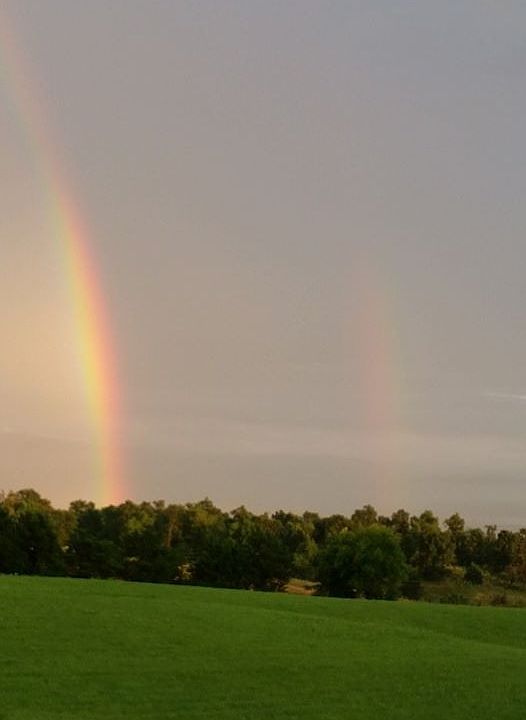 Build your pot of Gold