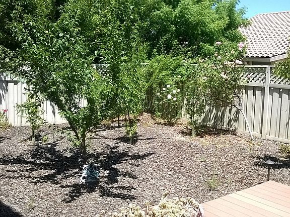 low maintenance backyard with wood deck