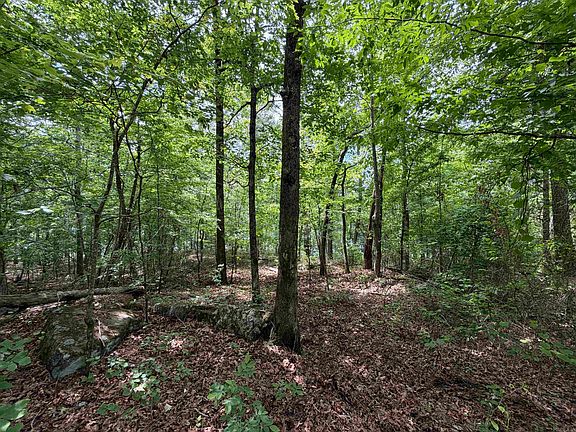 4th image of 1200 Bear Mountain Rd