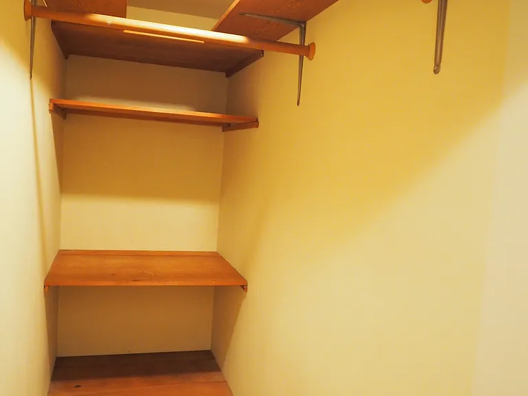 Larger of two hallway closets.