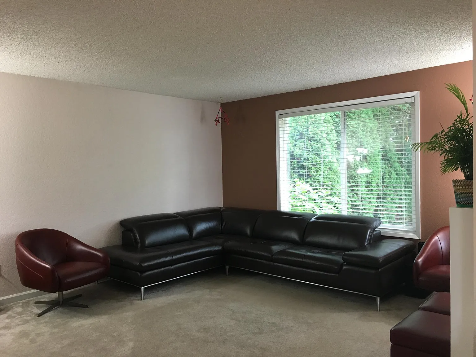 13501 NE 136th Pl — Photo 4