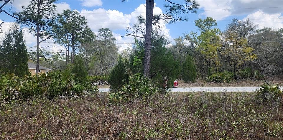2nd image of 18119 PARROT ROAD LOT 13