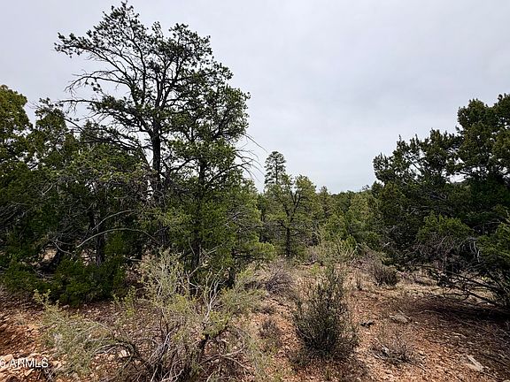 5th image of 4918 SUNSET RIDGE Loop #199