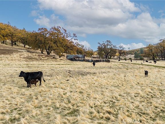 3rd image of 11158 Rocky Creek Rd