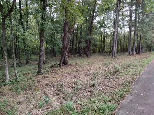 0 Pine Cove Rd SW, Plainville, GA 30733