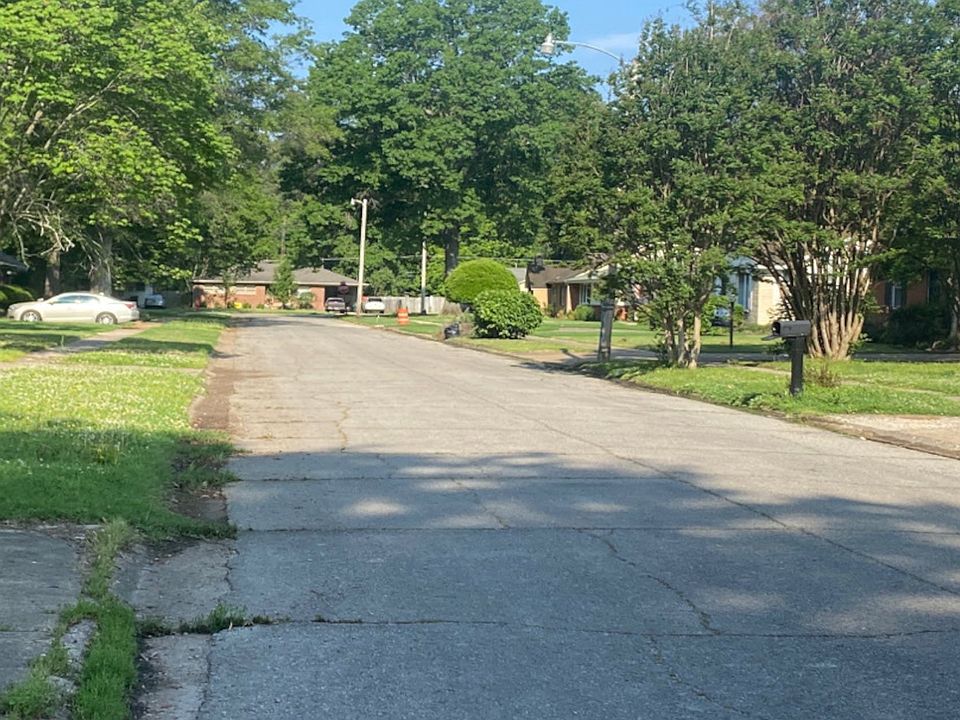 2nd image of 405 Mimosa Ln