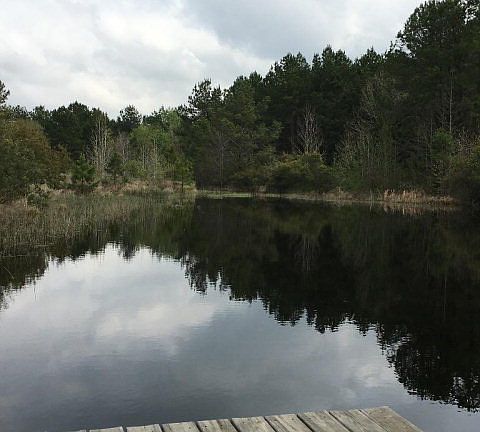 4th image of 449 An County Road 184