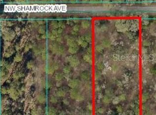 Shamrock Avenue Lot #13, Dunnellon, FL 34431