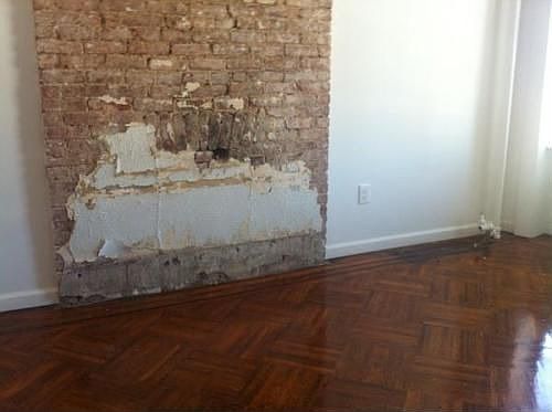 4th image of 851 Willoughby Ave