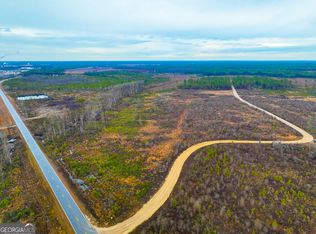 0 Fender Bay Rd, Willacoochee, GA 31650