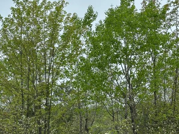 Kelly Fire Ln Lot 3, Tomahawk, WI 54487