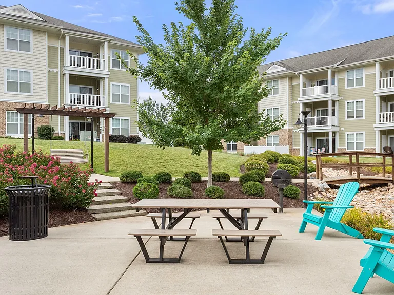 Colony at Centerpointe - Picnic Area