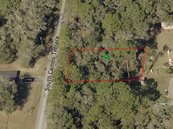 4011 S Cameo Ter, Inverness, FL 34452