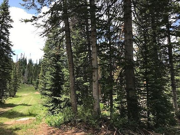 2nd image of 576 E Park U Pine Walk