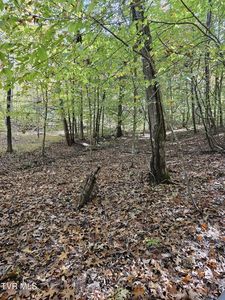Judge Clark Rd, Jonesborough, TN, 37659