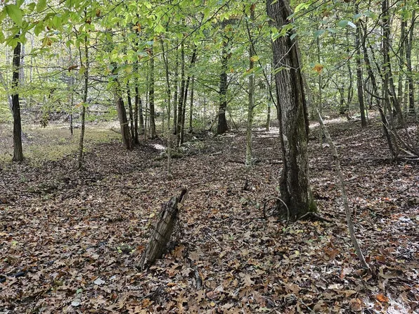 Judge Clark Rd, Jonesborough, TN 37659