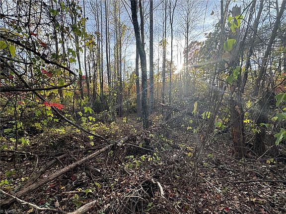4th image of 0 NE Market St Tract B