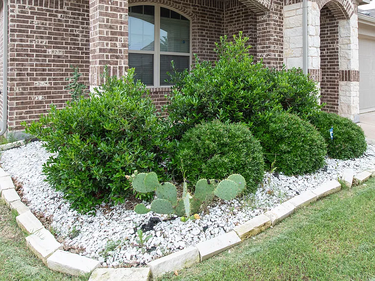 905 Silverbell St — Photo 15