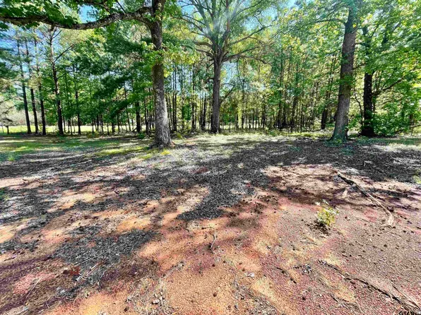 11617 Farm Market Rd #19, Frankston, TX 75763