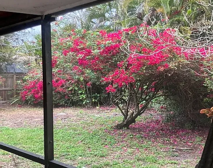 12' x 20' screened porch view