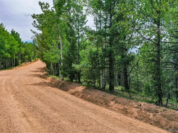677 Timber Ridge Road, Divide, CO 80814