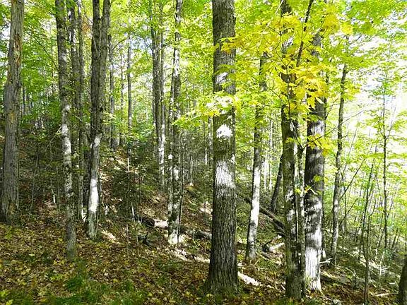 2nd image of 320 Acres Moose Dr