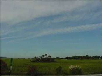 3rd image of 2329 Palmer Creek Bnd