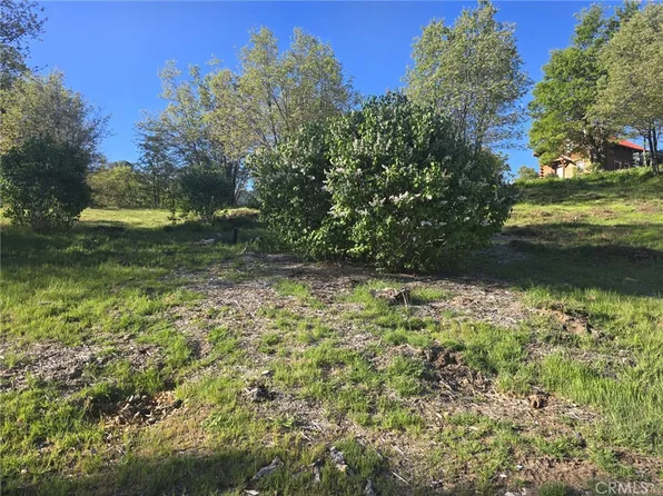 29783 Redwood Rd Lot 326, Cedar Glen, CA 92321