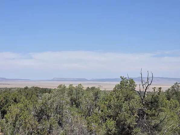 57111 N Calle Bolivar, Seligman, AZ 86337