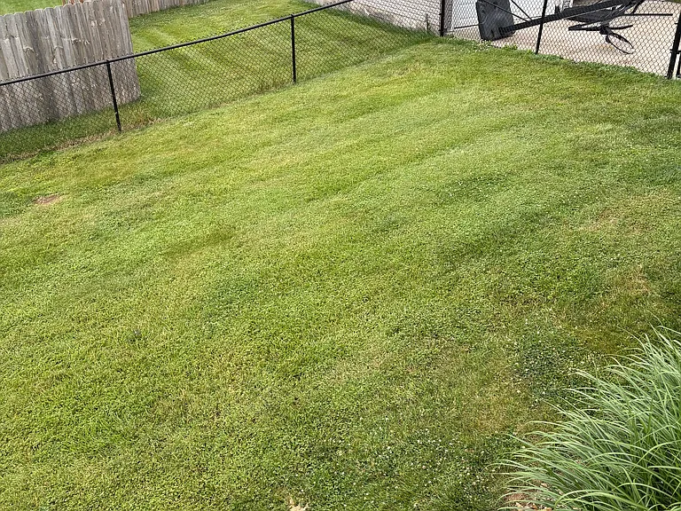 530 Sherwood Dr — Photo 8