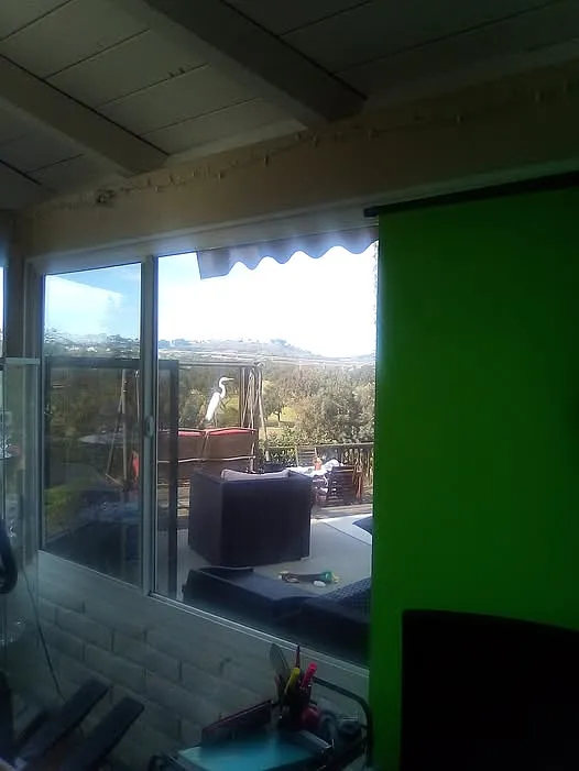 4 bed, 2500 sqft, $2,000 — Photo 2