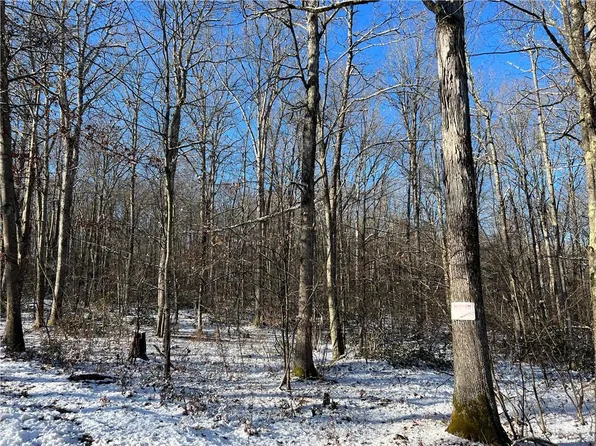 Perry Pond Road, Narrowsburg, NY 12764