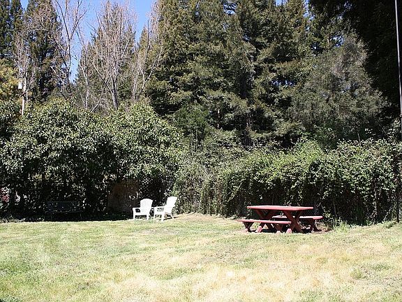 Sunny & Level Back Yard