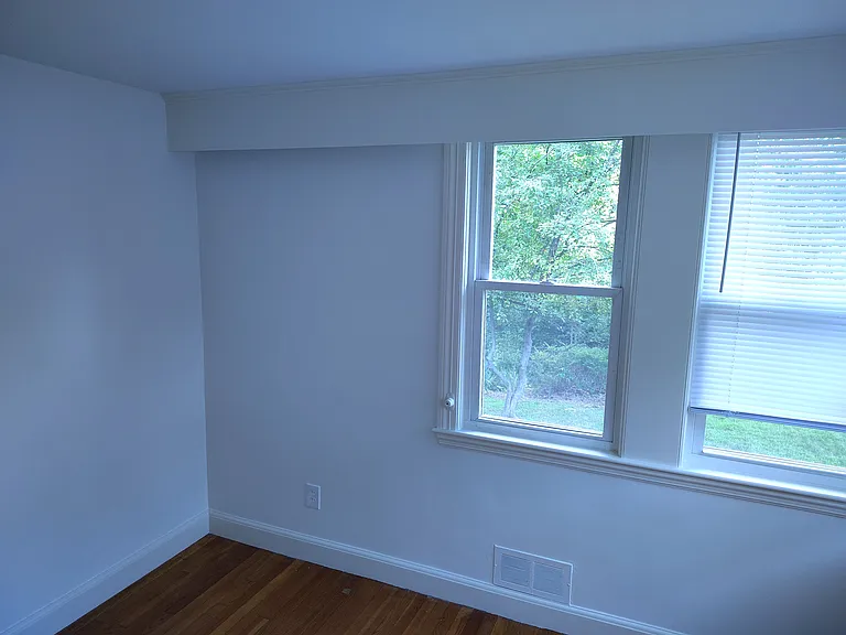 Second bedroom showing back windows.