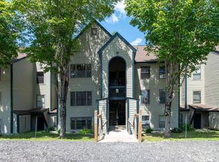 42 Harrison Ln #M204, Ludlow, VT 05149