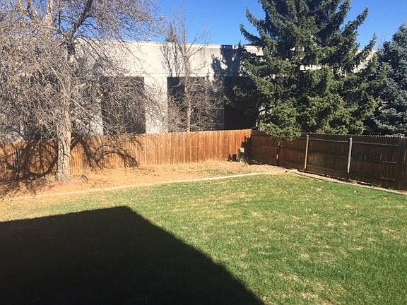 back yard