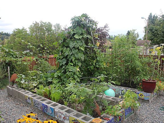 raised beds
