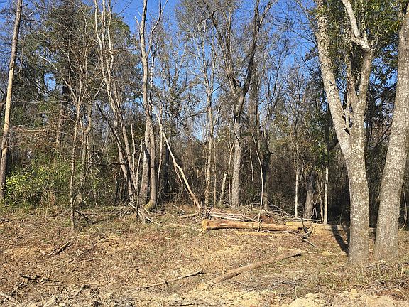2nd image of 134 Dale Dr